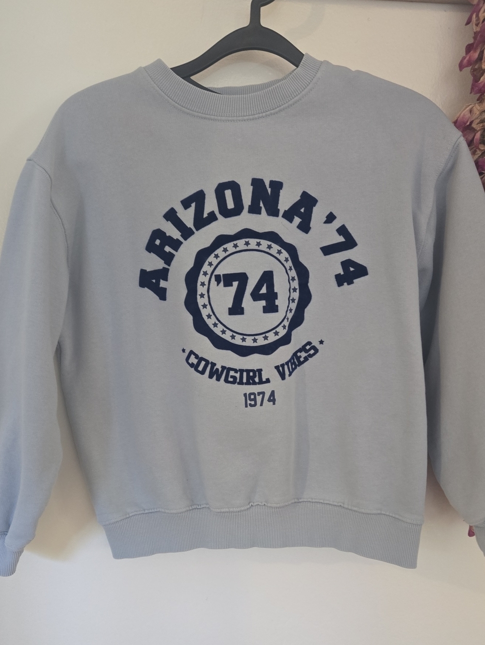 Zara Light Blue Crewneck Sweatshirt with Navy Graphic